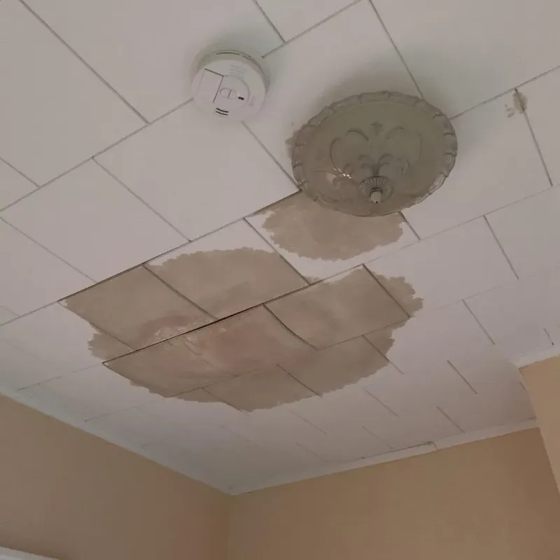 Ceiling Water Damage Repair in Alexandria Bay, NY
